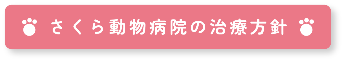 さくら動物病院の治療方針